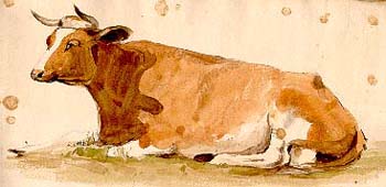Jersey cow Le Capelain.jpg