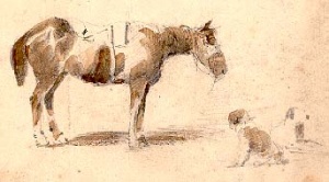 LeC-horse and dogs.jpg